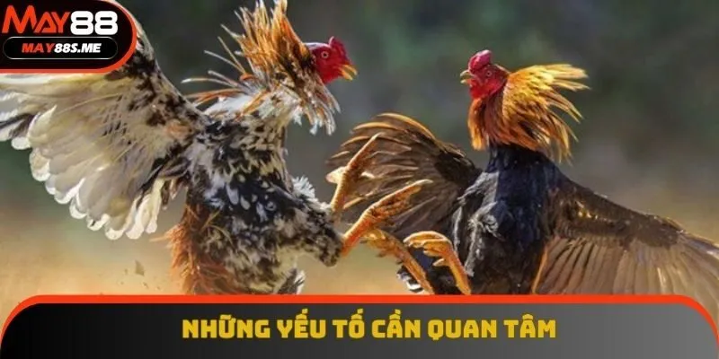 Những yếu tố cần quan tâm