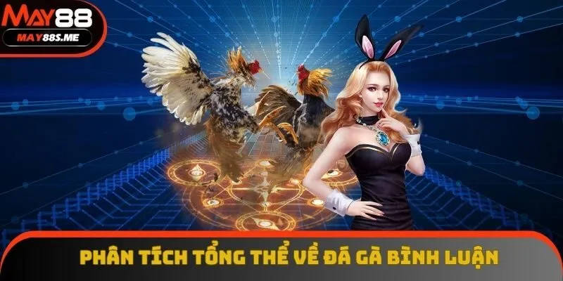 Phân tích tổng thể về đá gà bình luận Phân tích tổng thể về đá gà bình luận