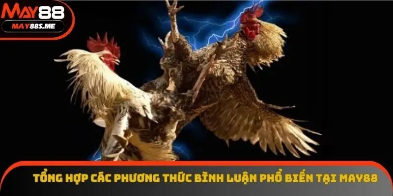 Tổng hợp các phương thức bình luận phổ biến tại May88 Tổng hợp các phương thức bình luận phổ biến tại May88