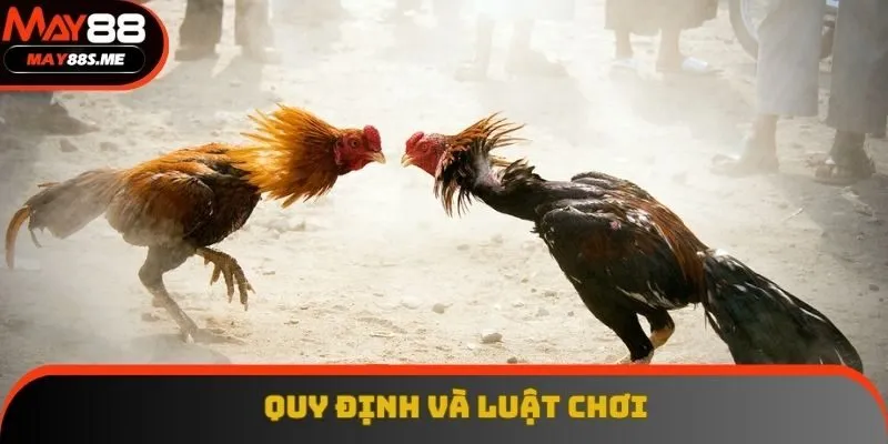 Quy định và luật chơi Quy định và luật chơi