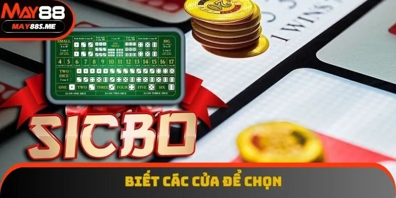 Biết đặc điểm tùy chọn để cược Biết đặc điểm tùy chọn để cược